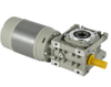 DC Worm Gear Motor