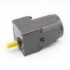 70mm AC spur gear motor